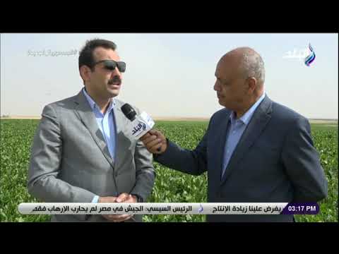 مدير مستقبل مصر المشروع يوفر أكثر من 350 ألف فرصة عمل غير مباشرة