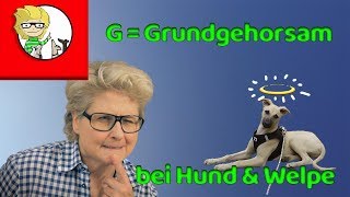 G = Grundgehorsam beim Hund und beim Welpen  Basics, Tipps und Fehler