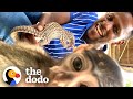 Baby Monkey Can&#39;t Stop Hugging This Baby Deer | The Dodo