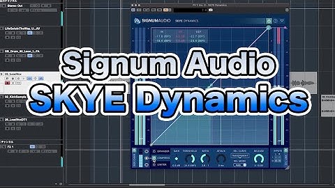 Signum Audio SKYE Dynamics review