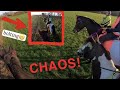 This hack was CHAOS !! 🤯 | GoPro | Emme Equestrian