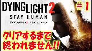 ゾンビだらけの荒廃した世界で妹を見つける物語＃１【ダイイングライト２】