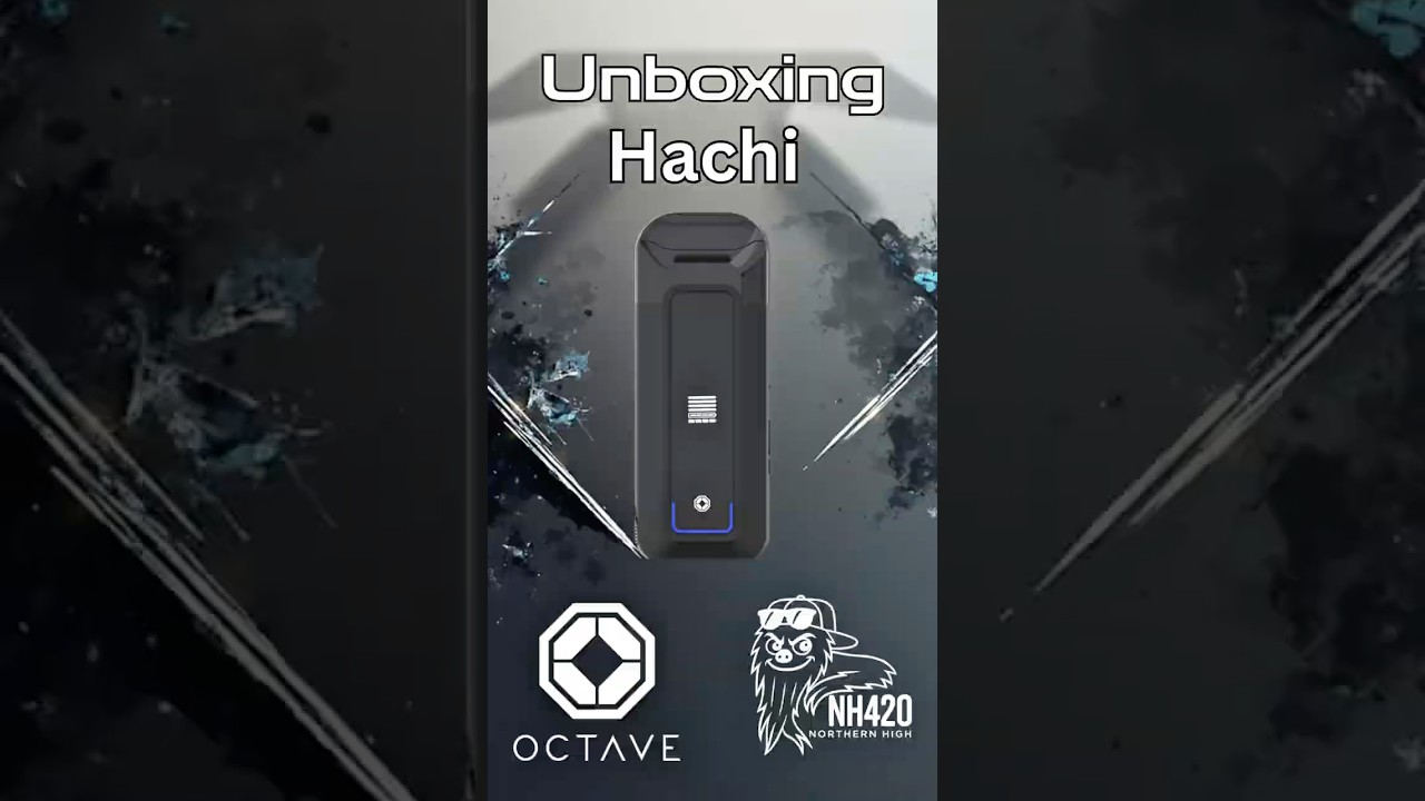 Распаковка: Hachi от Octave