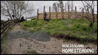 getting ready to open up our New Zealand mini farm park
