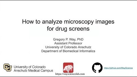 How to Analyze Microscopy Images for Drug Screens