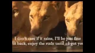 TRAIN I GOT YOU with Lyrics