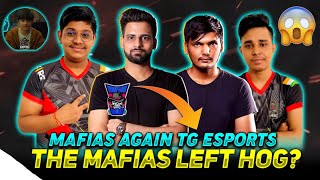 THE MAFIAS - TG ESPORTS ? MAFIAS LEFT HOG ? MAFIAS NEW ORG ? MAFIAS TG BOOTCAMP ? TM -TG ESPORTS 🤯🔥😲