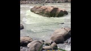 Piluk piluk - Armadi raga