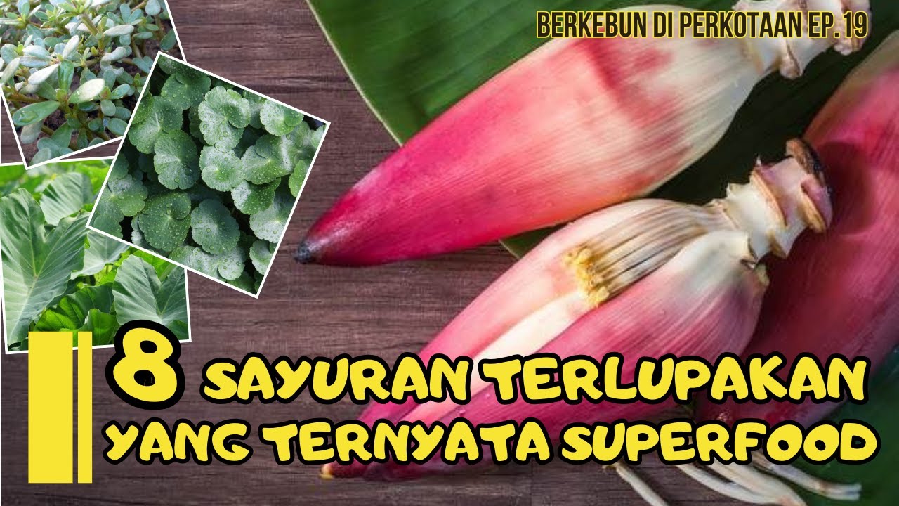8 Sayuran Terlupakan Yang Tenyata Superfood | Kaya Gizi, Nutrisi dan Mudah  Didapatkan