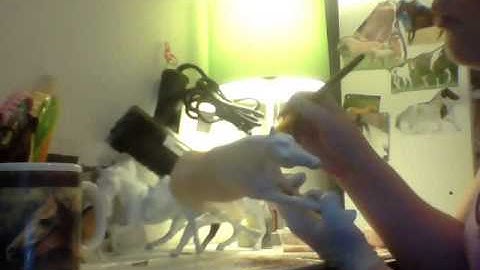 Custom Model Horse Progress Part 2