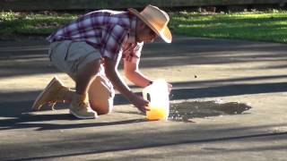 The Change Program (Comedy - Short Film)