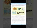 Computer science plus two | chapter 3 | Data Structures and Operations | part 1