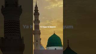 Ya Hayyu Ya Qayyum | Lyrics Status | ibbu.12 | #nabi #muhammadﷺ #lyrics #shorts |