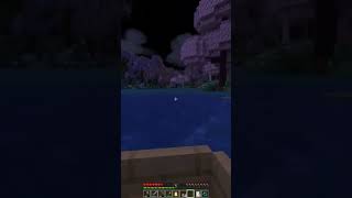 What is this? #backyardmc #minecraft