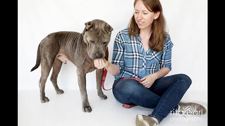 Bugsy + Anna Bischoff, Doing the Long Term Foster ...