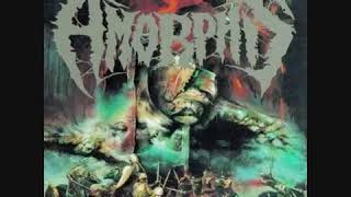 AMORPHIS - INTRO : KARELIA/THE GATHERING