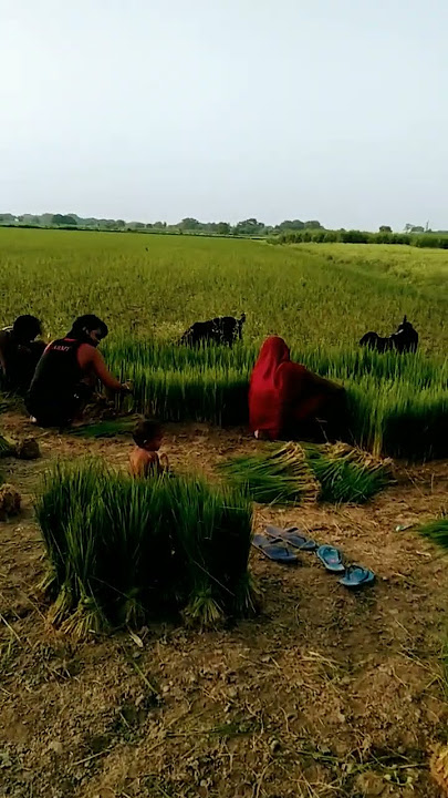 Eye bandhan to pyar ka bandhan hai#karan#Arjun#hindi movie #ytsho