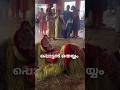 pottan theyyam #love #viralvideo #viralshortsvideo. video-katappatu