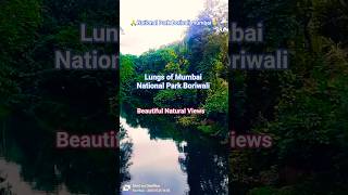 Kon ho tum jo dil mein | Sanjay Gandhi National Park Mumbai |  Beautiful views #trending #shorts