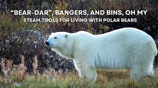 “Bear-dar,” Bangers, and Bins, Oh My - STEAM Tools for Living with Polar Bears | Tundra Connections