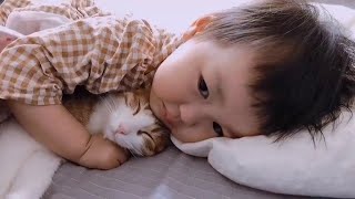 funny cute cats videos compilation part 3 by One Minute pets 214 views 2 years ago 4 minutes, 13 seconds