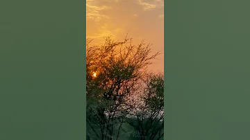 مرني عند الغروب 