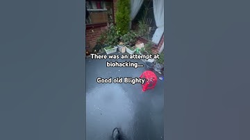 Trying to Biohack in England like…..☔️🌧️ #jackkruse #mitochondriacs #blackswan