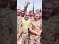 كيكل أسد البطانة كيكل أسد البطانة