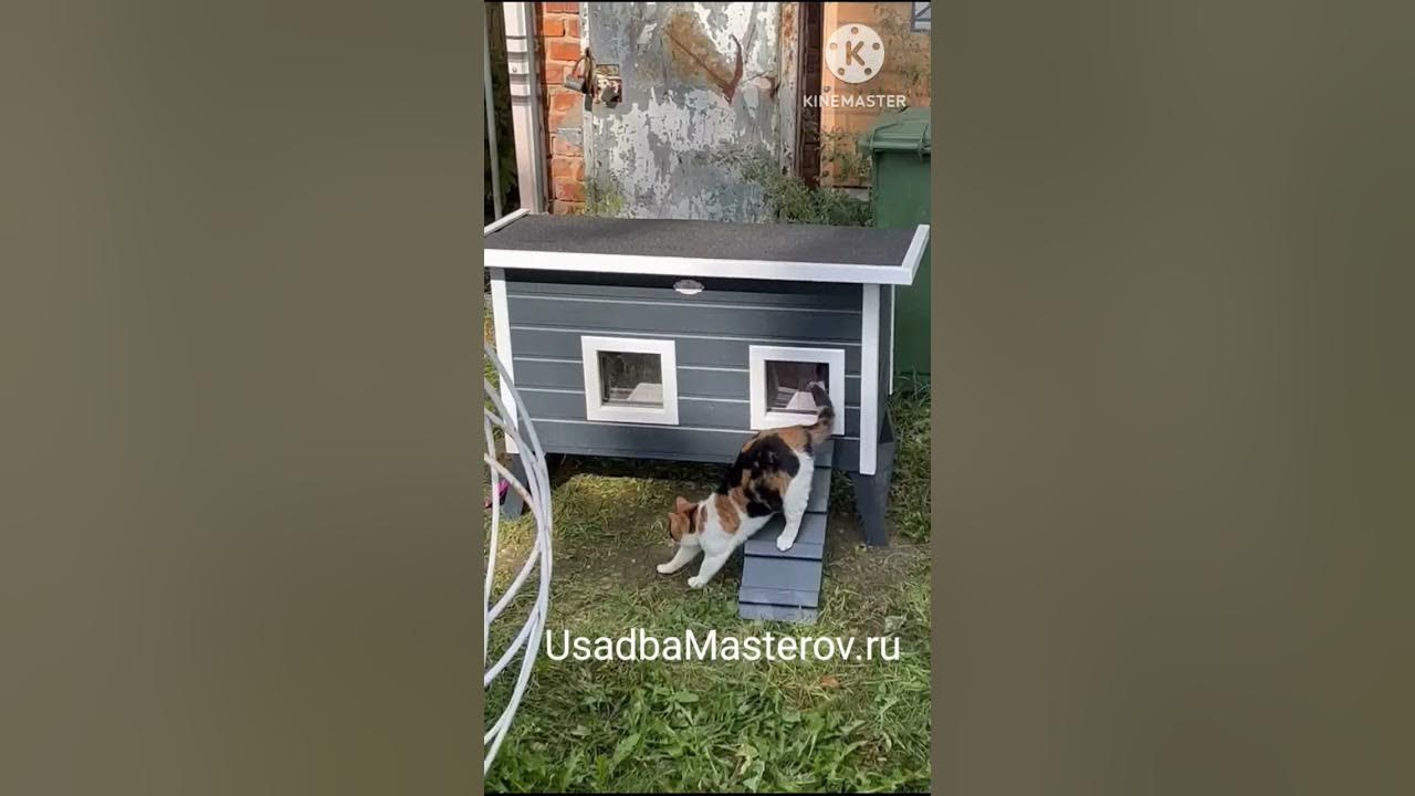 уличный домик для кошек "Барс". Теплый зимний домик для кошек с ...