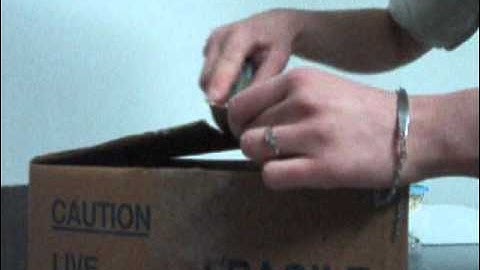 Unboxing New Additions