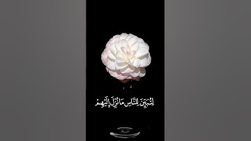 صباح الخير 🌸 حالات واتس اب مقاطع قصيره🌸قران كريم سورة النحل وانزلنا اليك الذكر🌸عبد الباسط🌸بدون حقوق