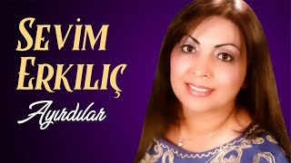 Sevim Erkılıç - Ayırdılar Resimi