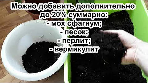 Усильте 
