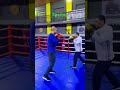 #sparing #ruslanmaharramov #nasibshahiyev  #boxingfan #boxing #boksing #mma #boks #ufc #sports #new