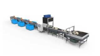 Linear Arm Sorter for Ecommerce Parcels and Logistics by Falcon Autotech