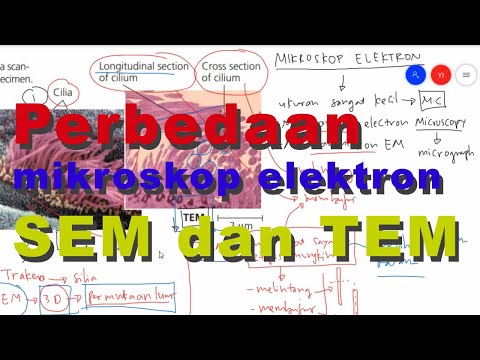 Perbedaan Mikroskop Elektron SEM dan TEM