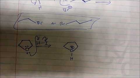Williamson Ether Synthesis MECHANISMS