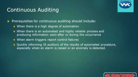 029 Continuous Auditing 1