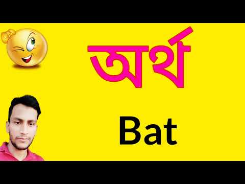 ভিডিও: বাট - এটা কি?