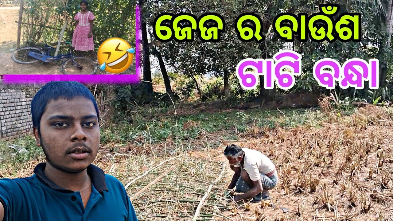 ଜେଜ ର ବାଉଁଶ ଟାଟି ବନ୍ଧା ଚାଲିଛି|| jeja ra baunsa tati bandha chalichhi 