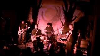 LOWER DENS: &quot;Your Heart Still Beating,&quot; Live @ Floristree, Baltimore, 4/1/2015