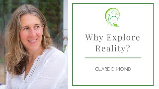 Why Explore Reality