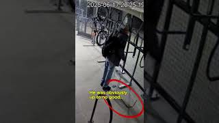 Security System vs. Intruder: Who Wins?
