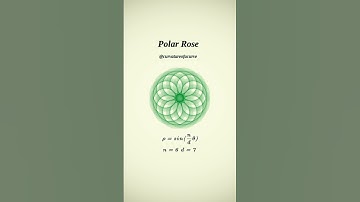 Polar Rose 6-7 🇧🇷 #maths #physics #science #education