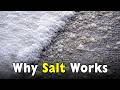 Why Salt Melts Ice Even When It’s Freezing Cold