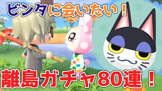 【あつ森】ビンタが欲しい！住民厳選、離島ガチャ80連で2度目の奇跡は起きるのか！？