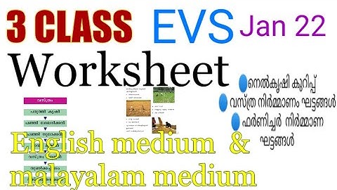 Class 3 Evs worksheet January 14|3 std evs|victers std 3 evs class|English|malayalam