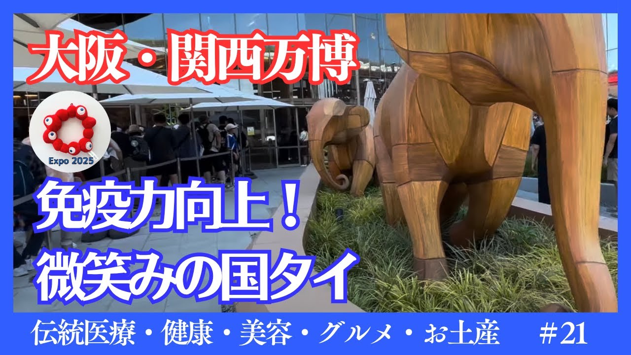 大阪・関西万博】タイパビリオン徹底紹介！万博の癒し✨タイパビリオン