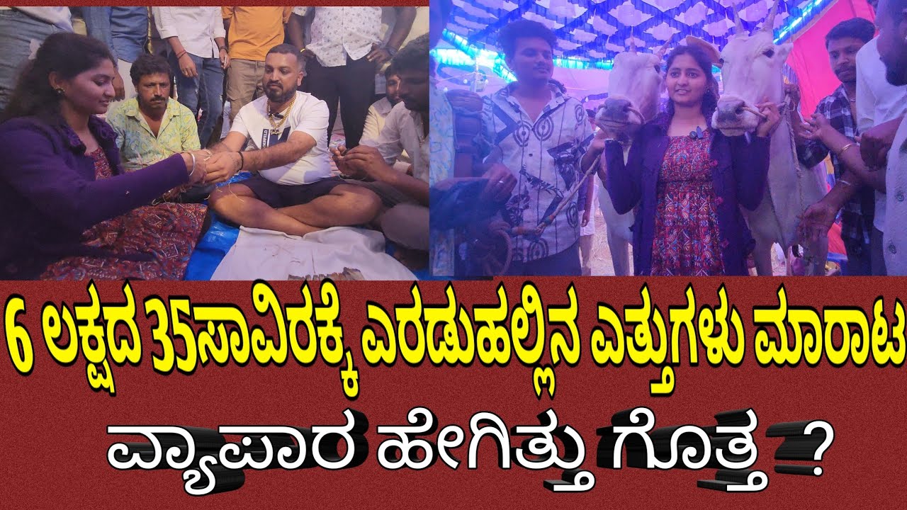 ಸಪ್ಪಲಮ್ಮ ಜಾತ್ರೆ 2025 ಸಂತೋಷರವರ ಹೋರಿಗಳನ್ನು  ಖರೀದಿಸಿದ ಹೆಣ್ಣುಮಗು❤️✨️#trending #hallikar