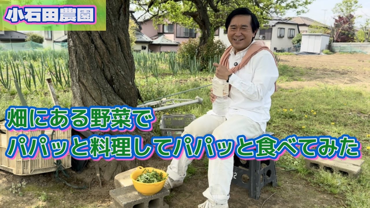 【春菊】パパッと収穫してパパッと食べる